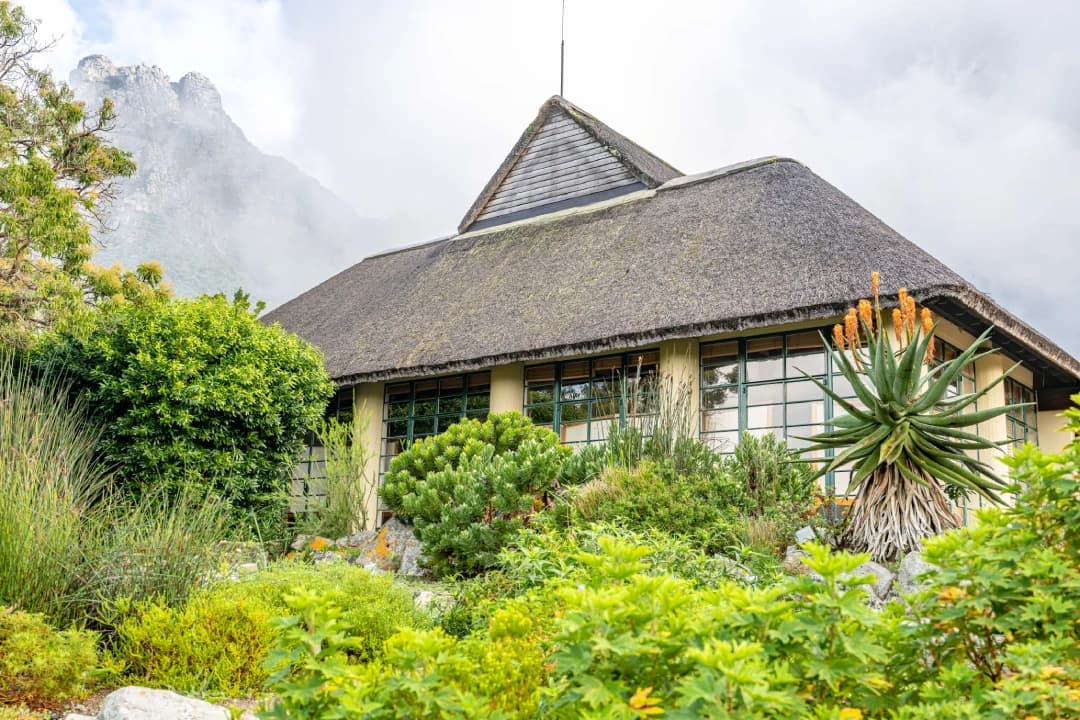 Kirstenbosch