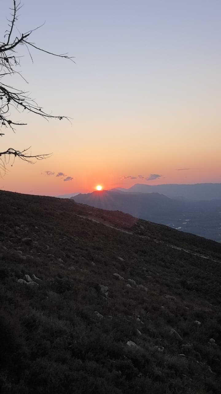 Red Sunset