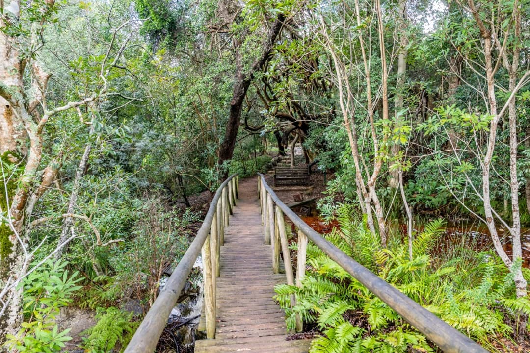 Walkway